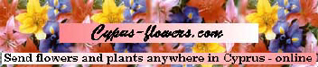 Cyprus flowers.JPG (16156 bytes)